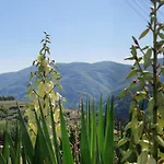 Holiday home 'гнездото', 'the Nest', Rhodope Mountains, Banite *
