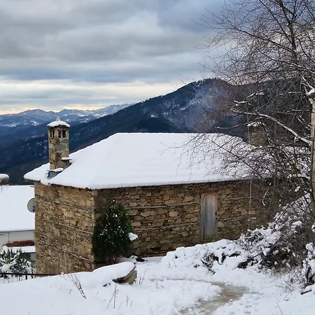 'гнездото', 'the Nest', Rhodope Mountains, Banite בית נופש