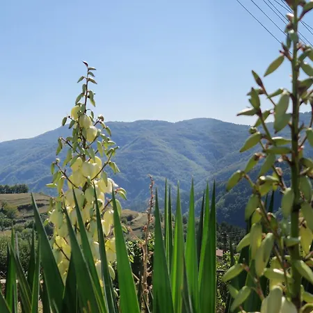 Дом отдыха 'гнездото', 'the Nest', Rhodope Mountains, Banite *