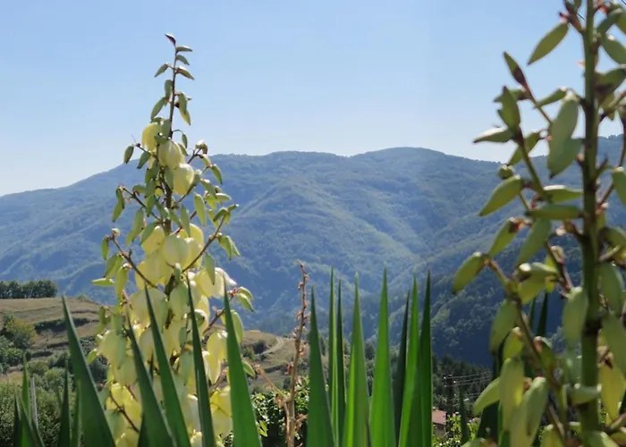 Holiday home 'гнездото', 'the Nest', Rhodope Mountains, Banite *